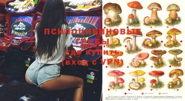 амф Белоозёрский