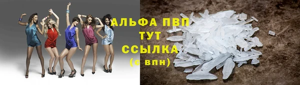 амф Белоозёрский