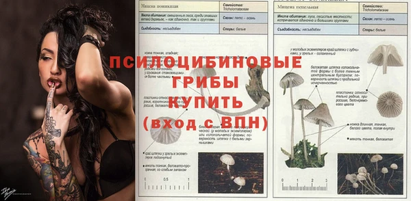 соль курить ск Белокуриха