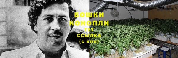 амф Белоозёрский